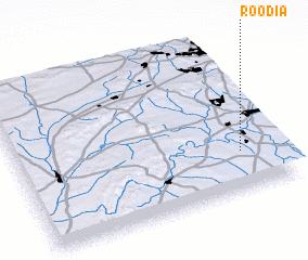 3d view of Roodia