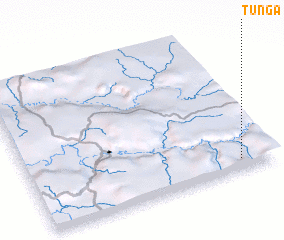 3d view of Tunga