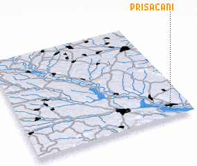 3d view of Prisăcani