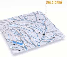 3d view of Sălcioara