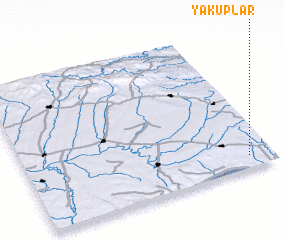 3d view of Yakuplar