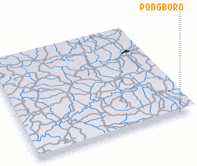 3d view of Pongboro