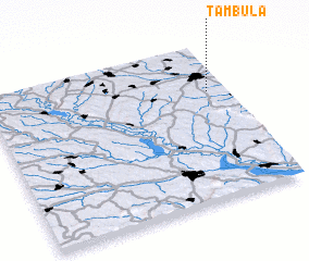 3d view of Ţambula