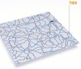 3d view of Tibo