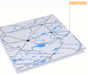 3d view of Popsuiki