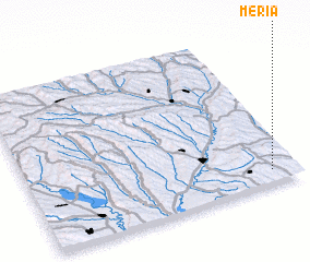 3d view of Meria