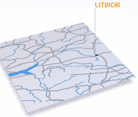 3d view of Litvichi