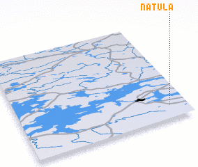 3d view of Natula