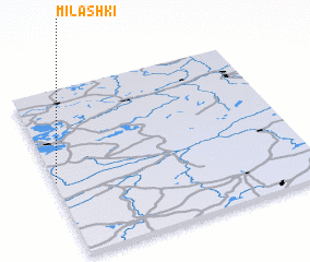 3d view of Milashki