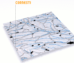 3d view of Corneşti