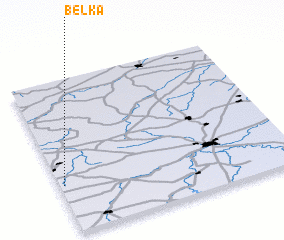 3d view of Belka