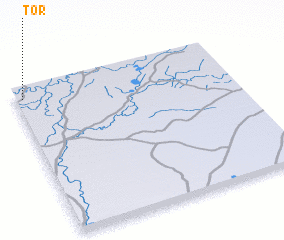 3d view of Tor