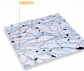 3d view of Sineşti