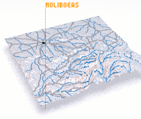 3d view of Moliboeas