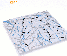 3d view of Corni