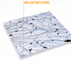 3d view of Valea -Trestieni