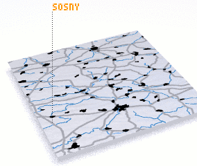 3d view of Sosny