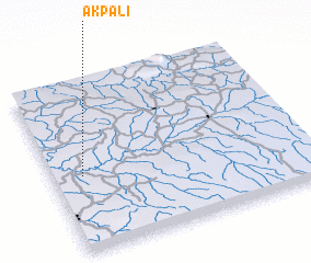 3d view of Akpali