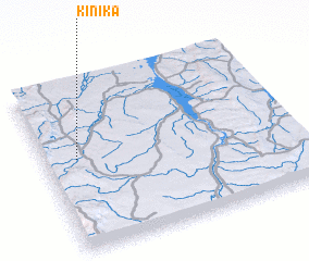 3d view of Kinika