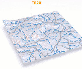 3d view of Tora