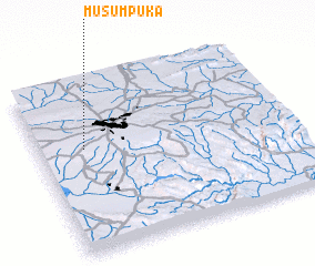 3d view of Musumpuka