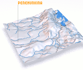 3d view of Penemunkina