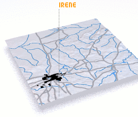 3d view of Irene