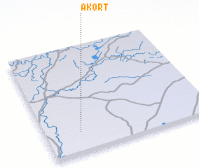 3d view of Akort