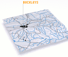 3d view of Buckleys