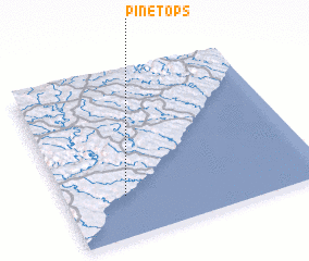 3d view of Pine Tops