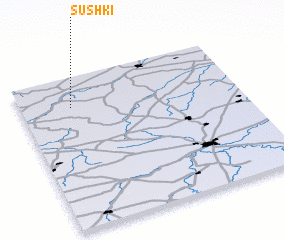 3d view of Sushki