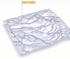 3d view of Makombo
