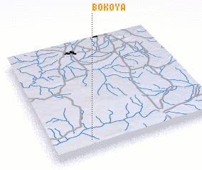 3d view of Bokoya