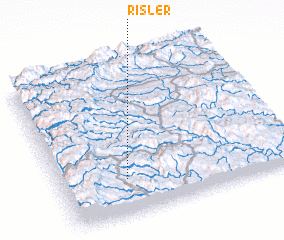 3d view of Risler