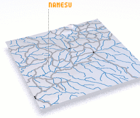 3d view of Namesu