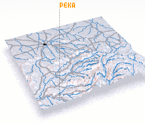 3d view of Peka