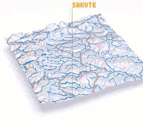 3d view of Sakute