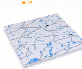 3d view of Bliny