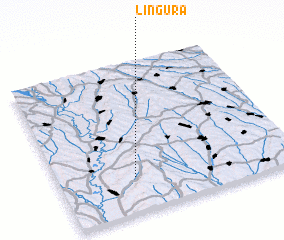 3d view of Lingura