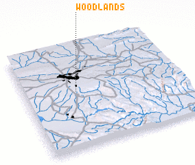 3d view of Woodlands