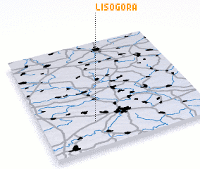 3d view of Lisogora