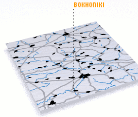 3d view of Bokhoniki