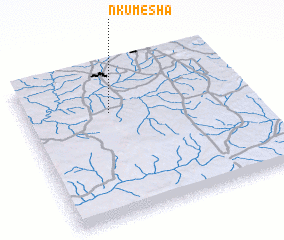 3d view of Nkumesha