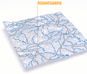 3d view of Ngwangwane