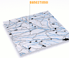 3d view of Băneştii Noi