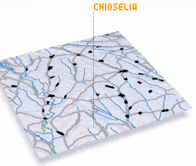 3d view of Chioselia