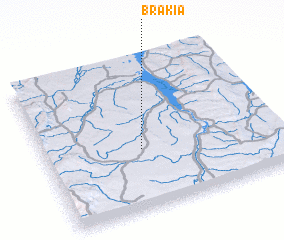 3d view of Brakia