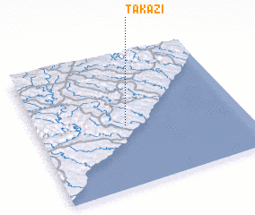 3d view of Takazi