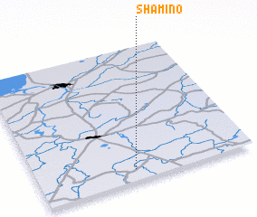 3d view of Shamino