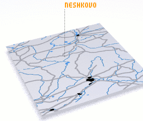 3d view of Neshkovo